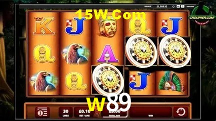 Sistemas de Segurança w89