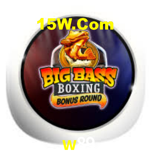 Premium Interface w89