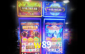 Programa VIP w89